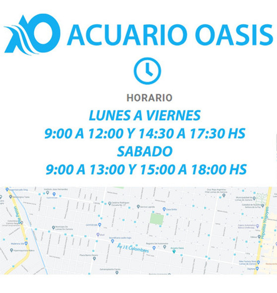 Test Asf De Calcio  - 40 Test - Acuario Oasis 1 Test Asf De Calcio  - 40 Test - Acuario Oasis 1