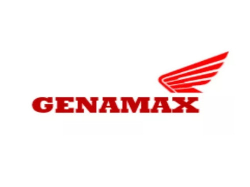 Filtro De Aire Honda Nc 700 Original Genamax 1