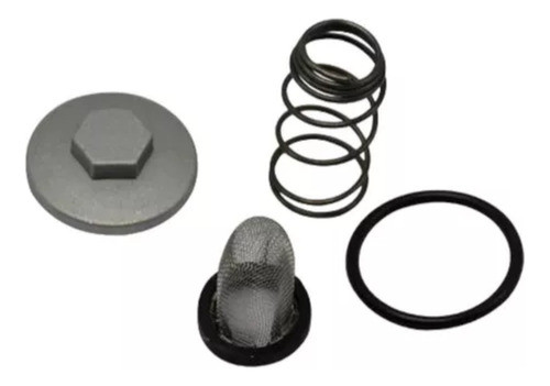 Kit Tapon Y Filtro Aceite Zanella Rx150 Y Similares 0