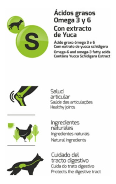 Maxine Senior Super Premium 21kg + 6 Pate + 6 Pagos 1