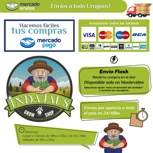 Fungicida Biológico Baktillis Fraccionado 100ml Cultivo 1