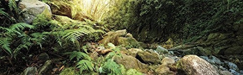 Terrario De Galapagos 05400 Antecedentes Clings 11125 X 36 1