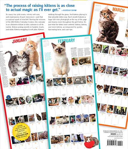 Calendario 2024 Para Colgar 365 Gatos 1