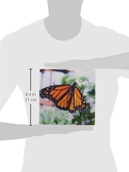3drose Llc 8 x 8 x 0.25 inches Mouse Pad, Monarch Butterf 1 3drose Llc 8 x 8 x 0.25 inches Mouse Pad, Monarch Butterf 1