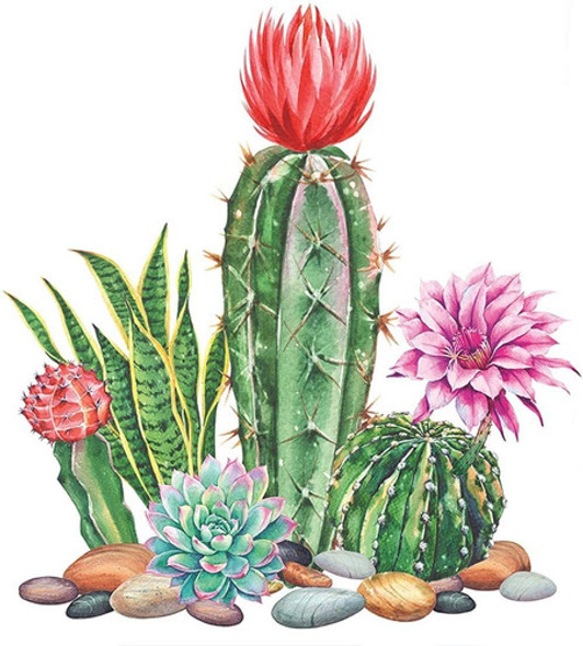 Kit Pintura Con Diamantes 5d Cactus Con Flores 30x40cm Diy 0