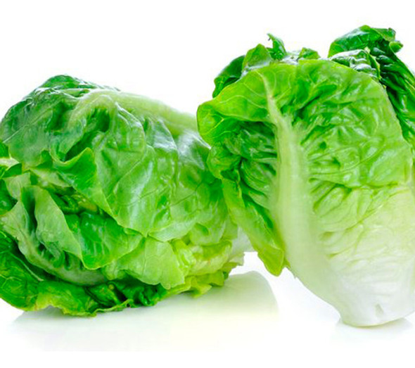 Semillas Orgánicas Lechuga Little Gem 1