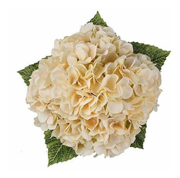 Hortensias Artificiales 1ramo -5flores-diam.16cm.- Champagne 1 Hortensias Artificiales 1ramo -5flores-diam.16cm.- Champagne 1