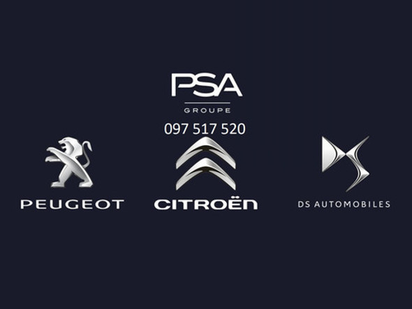 Paarbrisa Importados Peugeot 205 306 307 208 309 301 504 405 1