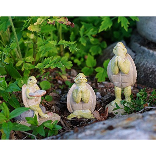 Top Collection Miniature Fairy Garden Y Terrarium Yoga Tortu 1