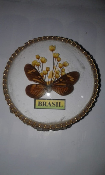 Caja Alhajero Brasil Mariposa `piedras Piedra Estuche 0