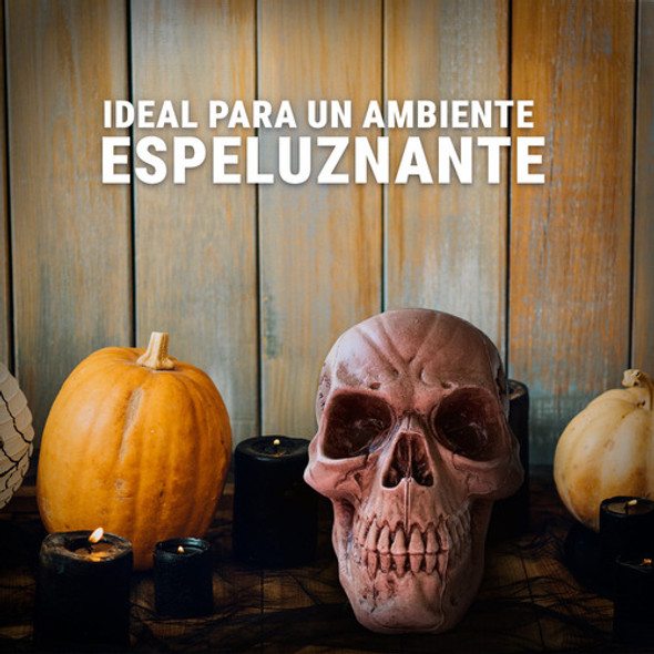 Cabeza Calavera Craneo Humano Decoracion Cotillon Halloween 1 Cabeza Calavera Craneo Humano Decoracion Cotillon Halloween 1