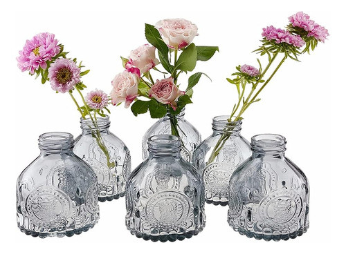 Hovico Glass Bud Vases Set De 6, Mini Botellas Vintage, Para 0