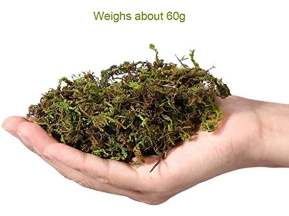 Garneck 3pcs Liquen De Musgo Artificial Preservado Decoració 1