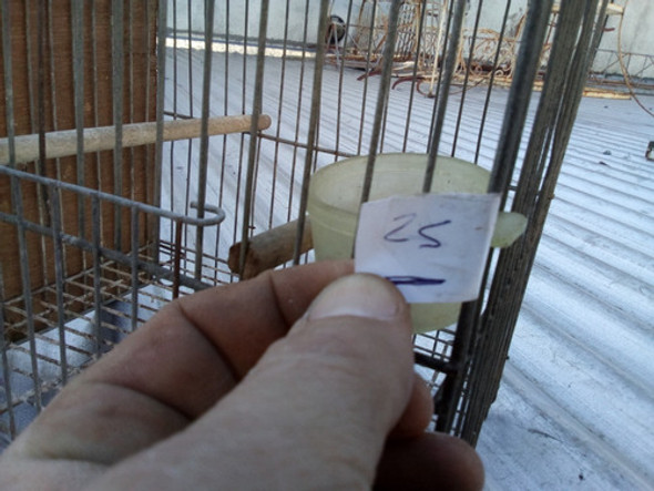 N.25- Jaula Para Pajaro 26,7 X 19,7 X 23,5 Alto 1