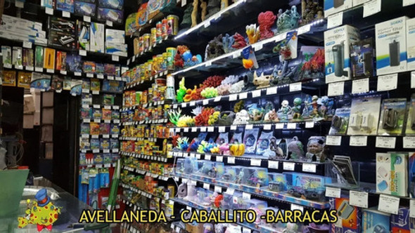 Pecera Acuario Mainar Vidrio Cubo 20x20x20 8 Litros 1