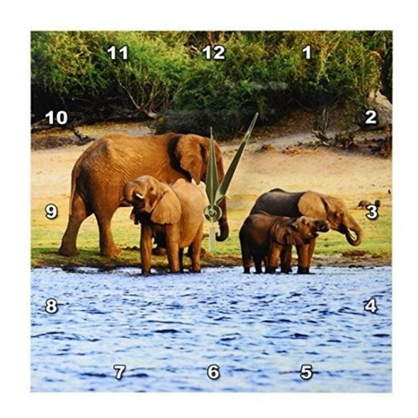 Danita Delimont  Elefantes  Elefante Africano Parque Naciona 0 Danita Delimont  Elefantes  Elefante Africano Parque Naciona 0