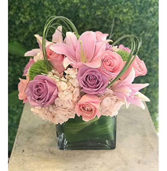 Wgv Cube Glass Vase, Candle Holder, 6  X6  X6  , [opciones D 1