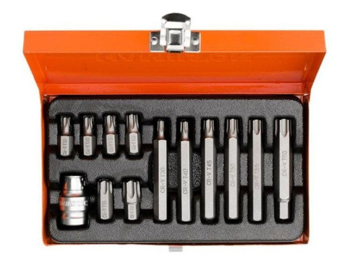 Juego De Puntas Torx 1/2 13 Piezas Hamilton Estuche Jt13t 0