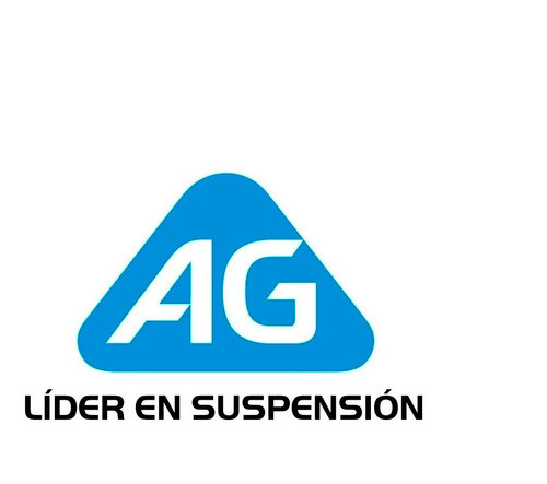 Kit X2 Espirales Del. Ories Ag P/ Chevrolet Chevy 69/78 1