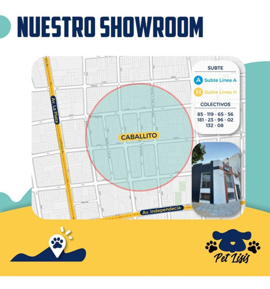 Juguete Raton Tumbling Ferplast Gatos Persa Siames Mascotas 1