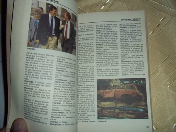 Diccionario De La Lengua Magistral 1