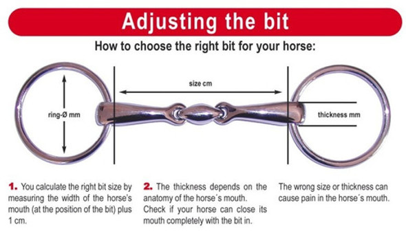 Jacaranda Freno Caballo Bridon Ac Inox Solido Bocado Curvo 1