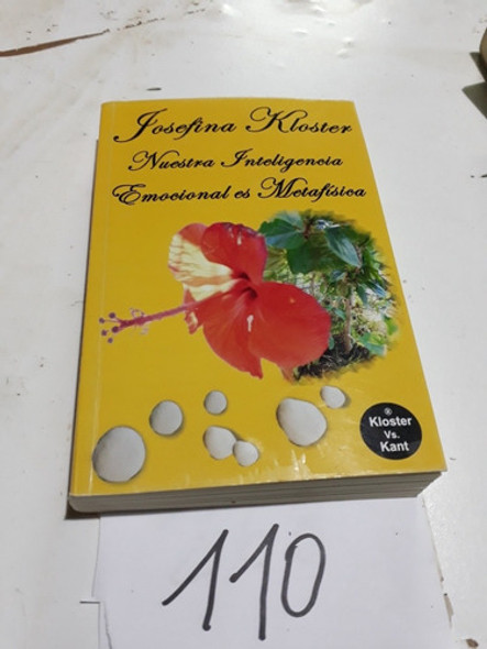 Nuestra Inteligencia Emocional Es Metafisica Koster 0