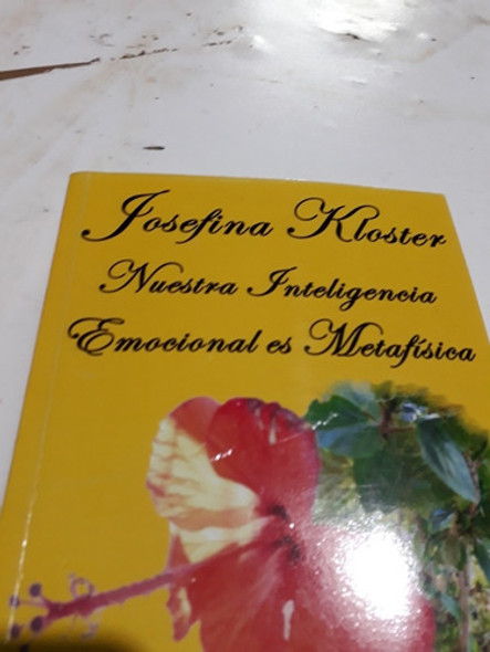 Nuestra Inteligencia Emocional Es Metafisica Koster 1