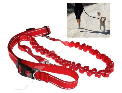 Perros Gratis Manos Elásticas Llevan Correa De Correr Trotar 0