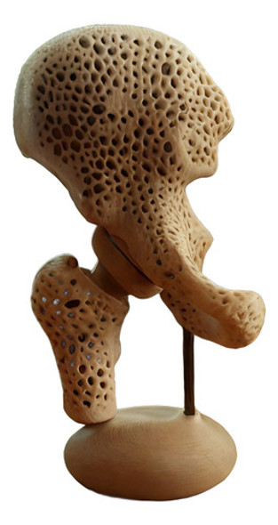 Impresión 3d Modelo De Cadera Y Pelvis En Tamaño Real 0