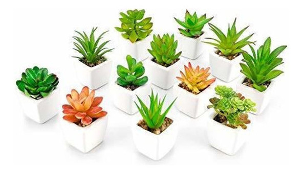 Woodword Falso Suculentas Plantas En Maceta Mini Plantas Art 0
