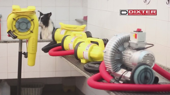 Carbones Dixter Para Motor De Turbinas 1200w X 2u. 1