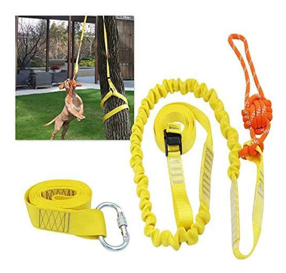 Juguete Interactivo Retráctil Para Perros Xiaz, Juguetes De 0