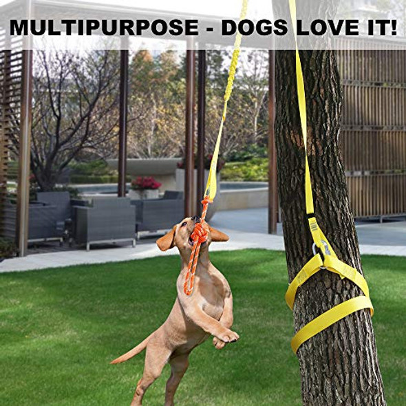 Juguete Interactivo Retráctil Para Perros Xiaz, Juguetes De 1