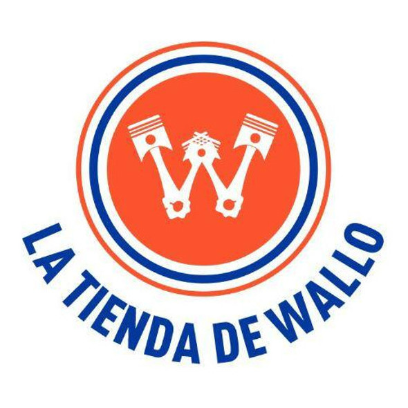 Interruptor Tecla Para Agrale Kostal 13491 1