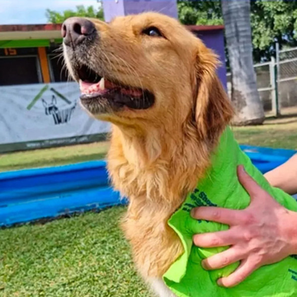 Super Shorby - Toalla Súper Absorbente Alemania - Pack 4 Uni 0