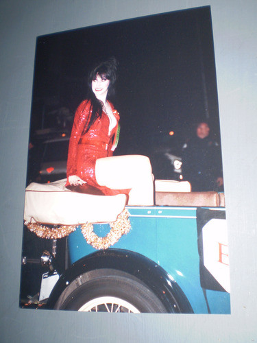 3 Fotos Julie Strain Elvira Mistress Of The Dark Originales 1