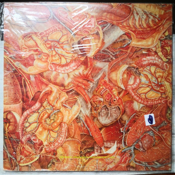 Titãs - Tudo Ao Mesmo Tempo Agora- Vinilo Lp / Kktus 1