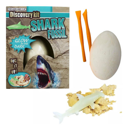 Set De Excavación Brilla En La Oscuridad Fósil De Mar 1