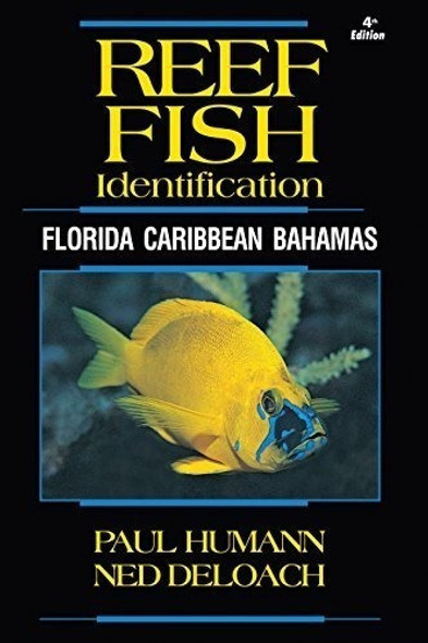 Identificacion De Peces De Arrecife Florida Caribe Bahamas 4 0