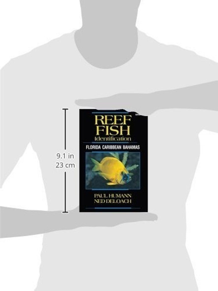 Identificacion De Peces De Arrecife Florida Caribe Bahamas 4 1