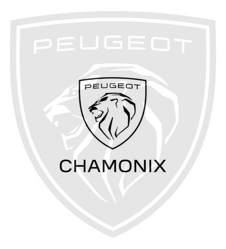 Filtro De Aire Peugeot 207 307 308 1.6 Original 1