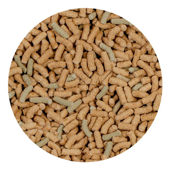 Alimento Para Tortugas De Agua_acuario Acuaworld 1