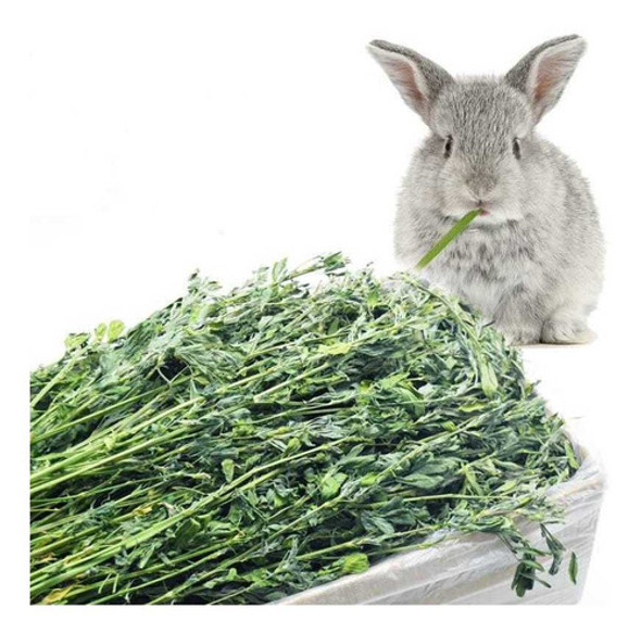 Heno De Alfalfa En Hebras Para Conejos, Cobayos X 8kilos. 0