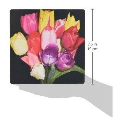 3drose Llc 8 x 8 x 0.25 inches Mouse Pad, Multicolor Tuli 1