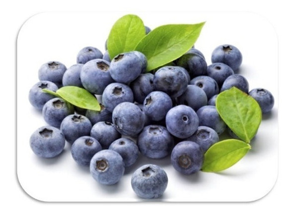 Arándanos Congelados Iqf X 1kg - Mataderos - 0