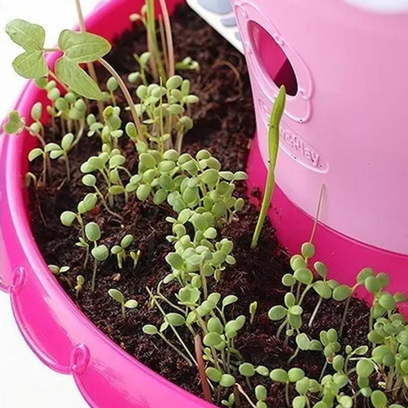 Set Jardineria Niños Huerta Semillas Infantil Magic Garden 1