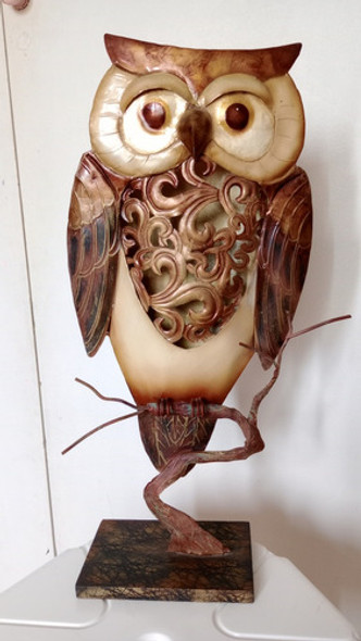 Buho De Chapa Pintado 1