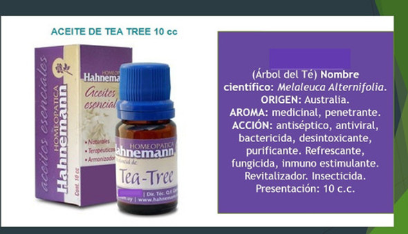 Aceite Esencial De Tea Tree 10 C.c. 1