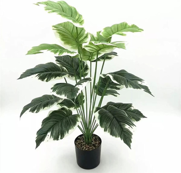 Planta Interior Difembachia Tropic 77 Cm Artificial 0